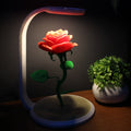 Rosa luminosa