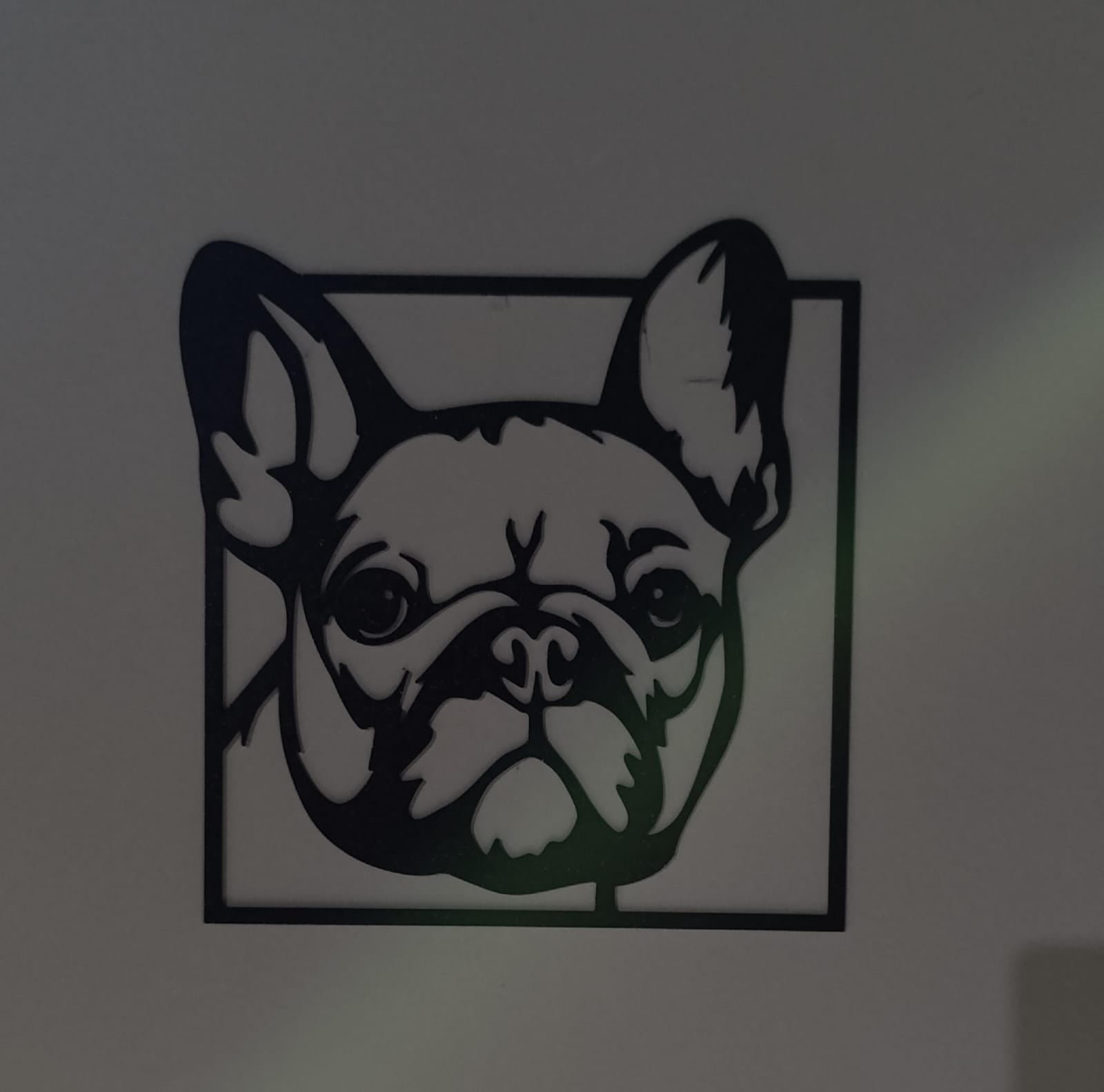 Retrato de mascota